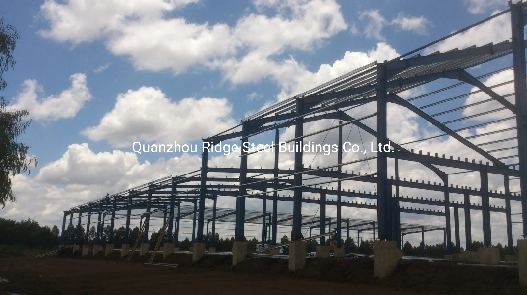 Industrial Prefab Steel Structure Apartment High Strength Building