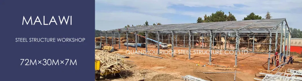 Hot Sale Prefabricated Steel Structure Apartment Construction Price