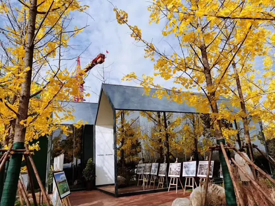 Environmentally Friendly Natural Hand Craftsman Style Prefabricated Steel Structure Fashionable Outdoor Glass Mirror Apartment 