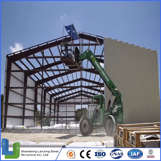 High Rise Reasonable Price Steel Structure Building Construction with Sandwich Panels